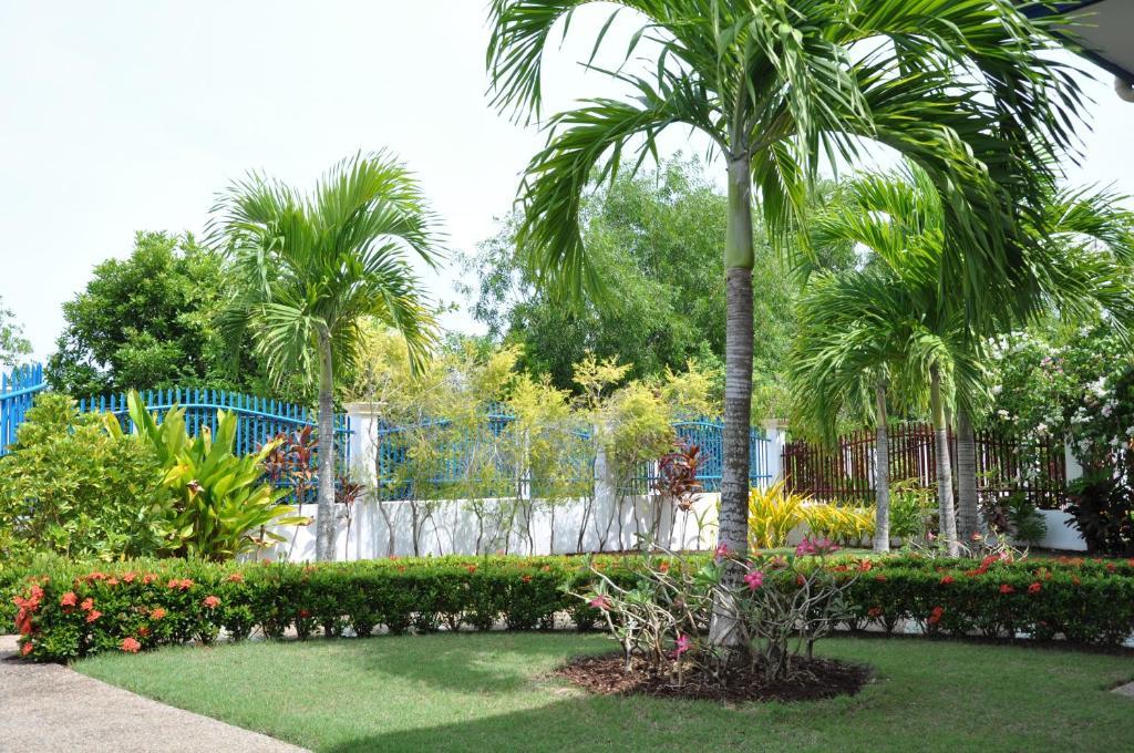 Olivia Resort Serviced Apartments And Bungalows Panglao Habitación foto